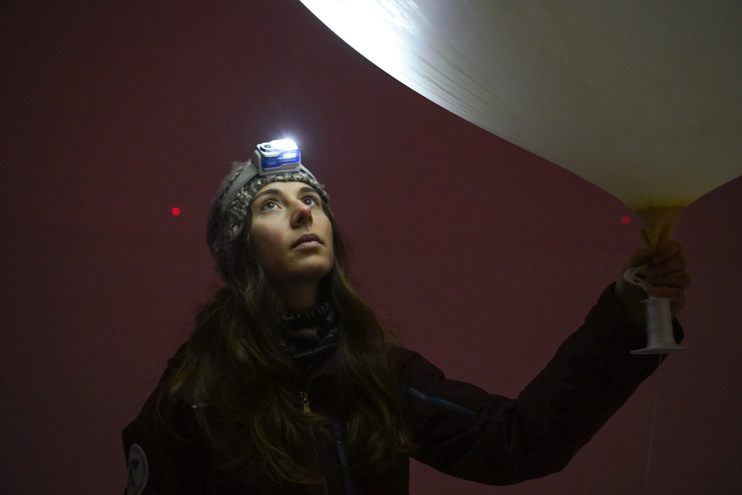 Auriane Herbaut, MSc