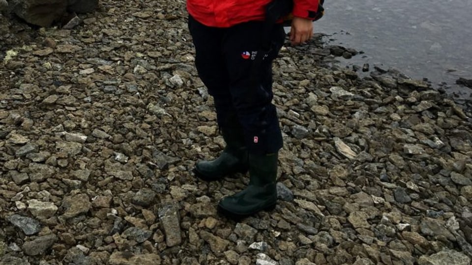 Claudia Maturana Bobadilla, PhD