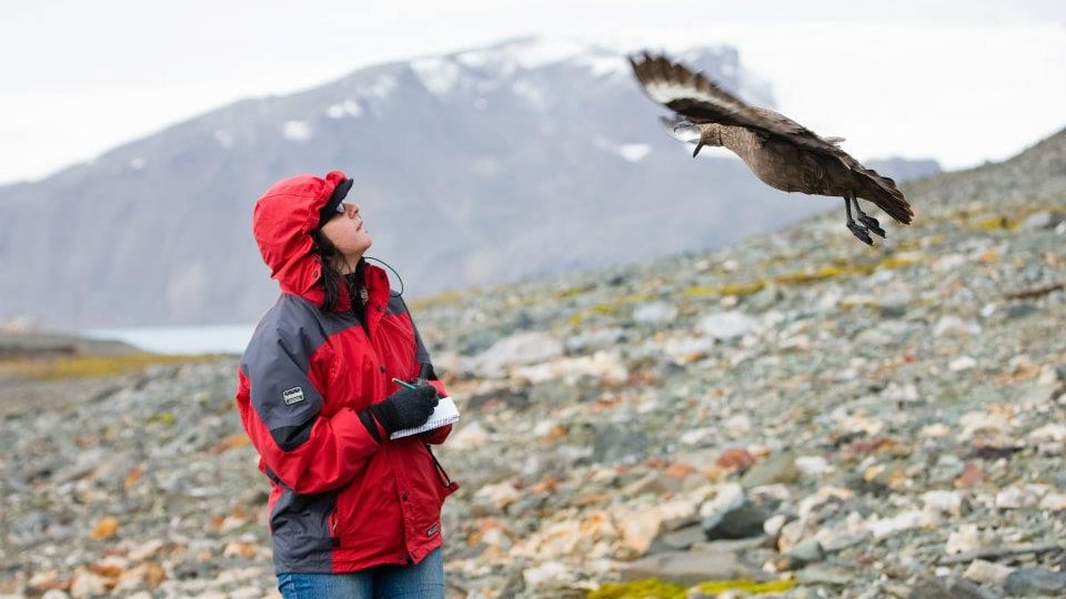 Erli Schneider Costa, PhD