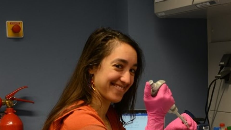 Jilda Alicia Caccavo, PhD