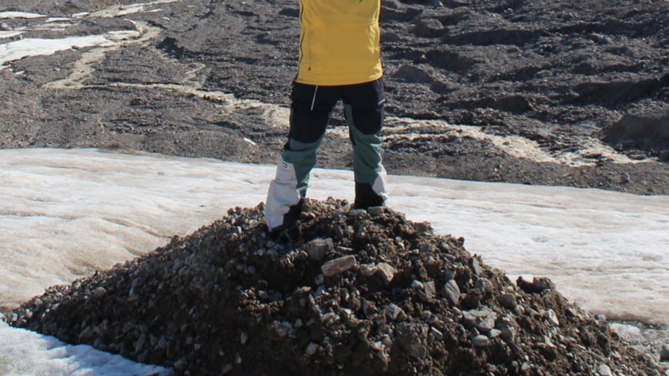 Madeleine Lewis, MSc