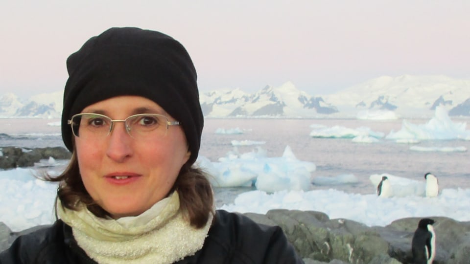 Tracy Moffat-Griffin, PhD